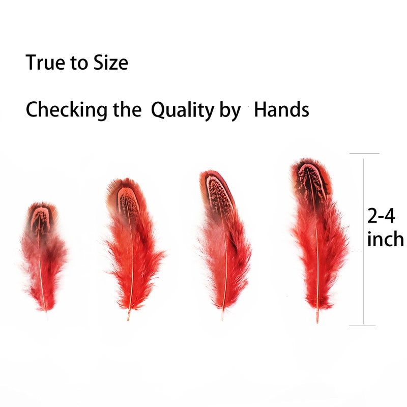 HAPPY FEATHER 100 pcs Natural Pheasant Plumage Feathers 2-3 Inches Plumage Feathers for Sewing Crafts Clothing Decorating Accessories -Red - Image 5